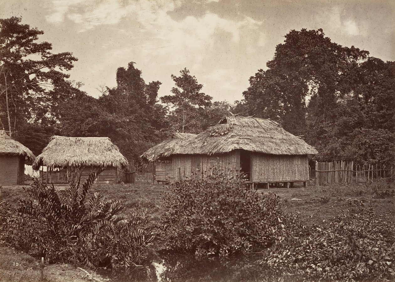 Tropikal Manzara, Turbo Köyü, 1871. by John Moran