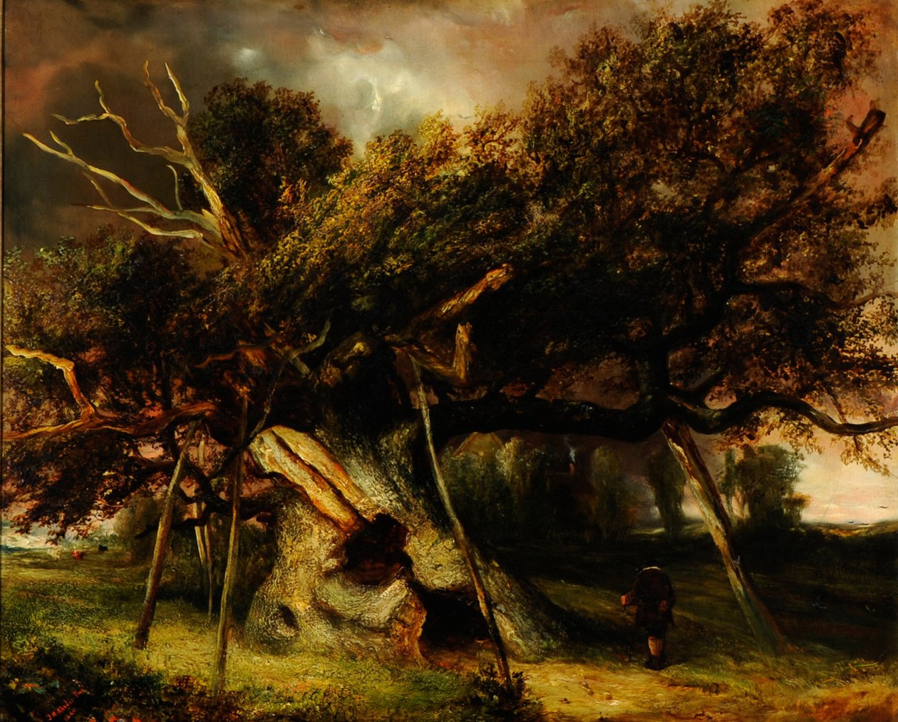 Cowthorpe Meşe by John Nicholas Rhodes