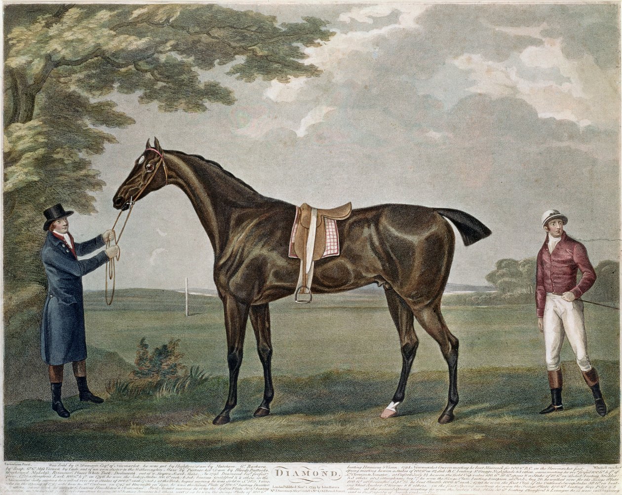 Yarış Atı Elması, c.1799 by John Nott Sartorius