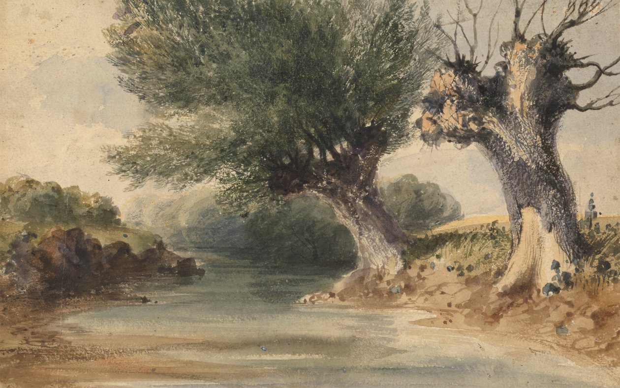 Colne, Middlesex'te by John Preston Neale