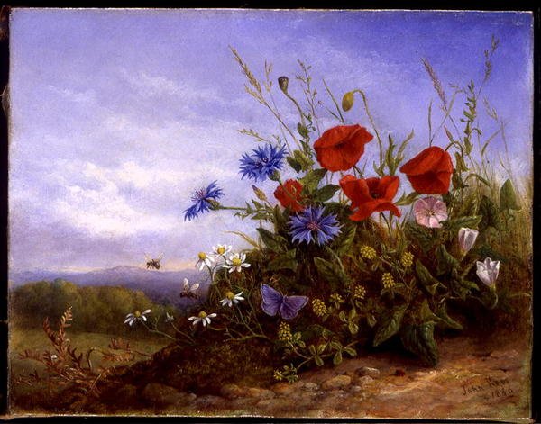 Bir Bankada Kır Çiçekleri by John Rees