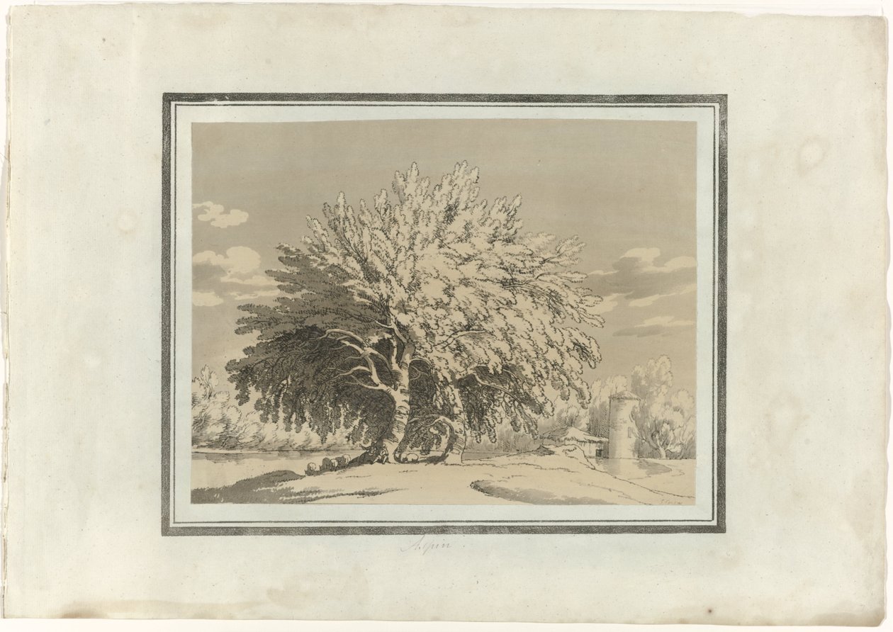 aspin by John Robert Cozens