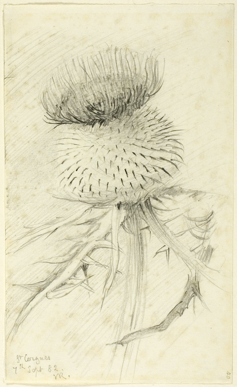 Aziz Cergues by John Ruskin