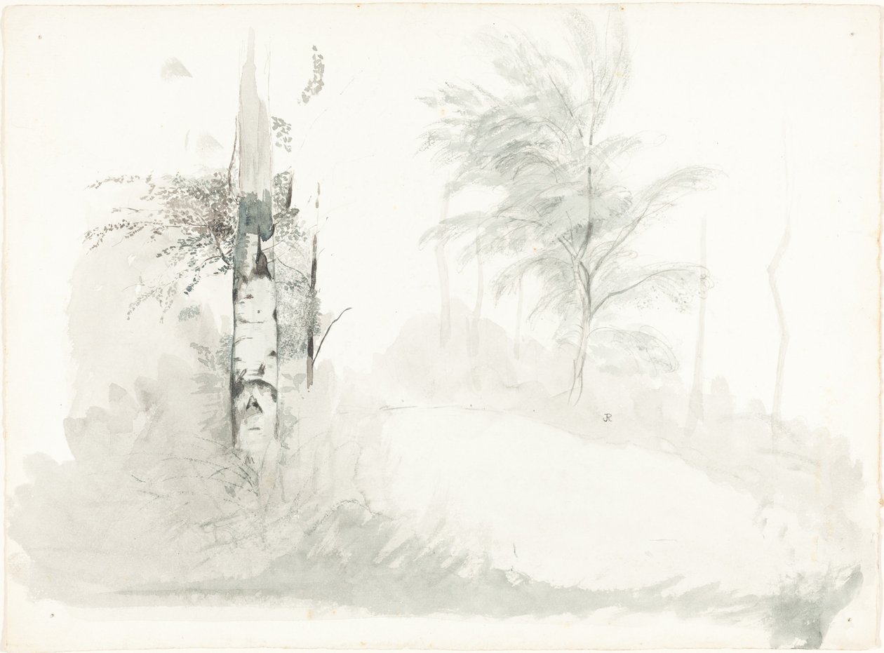 Ağaç Çalışması by John Ruskin