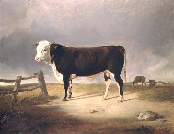 Şansölye by John Sheriff