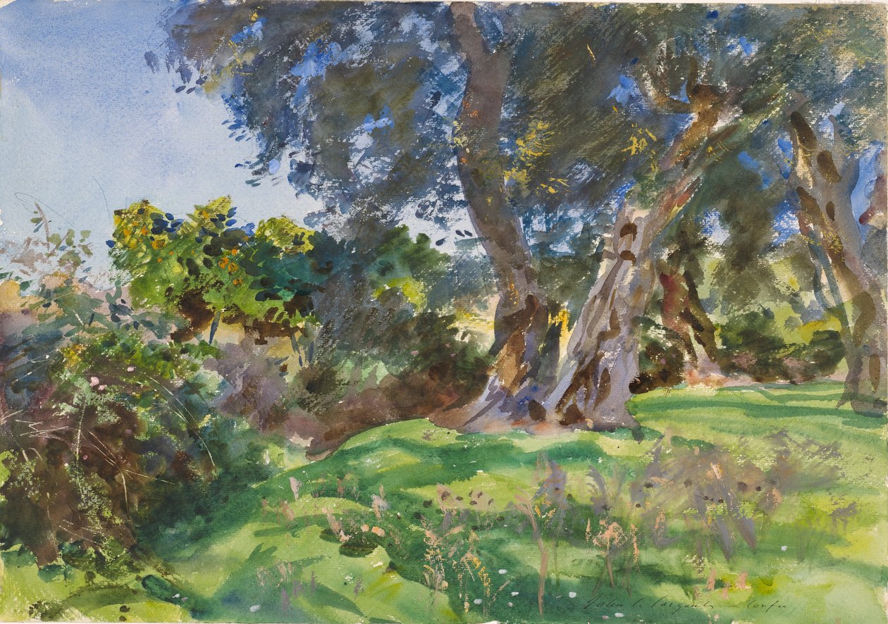 Zeytin Ağaçları, Korfu by John Singer Sargent