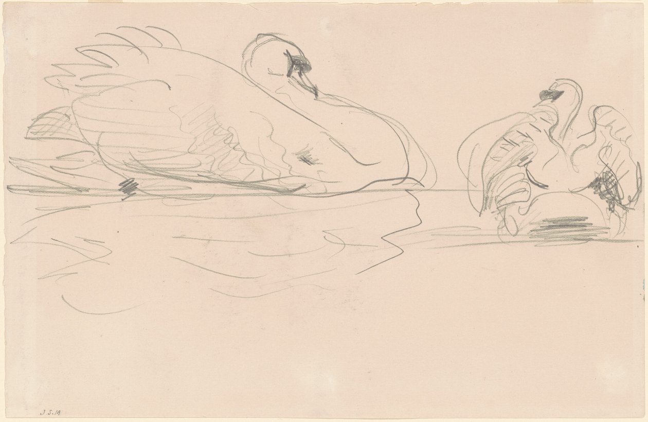 Sudaki Kuğular, 1880-1900. by John Singer Sargent