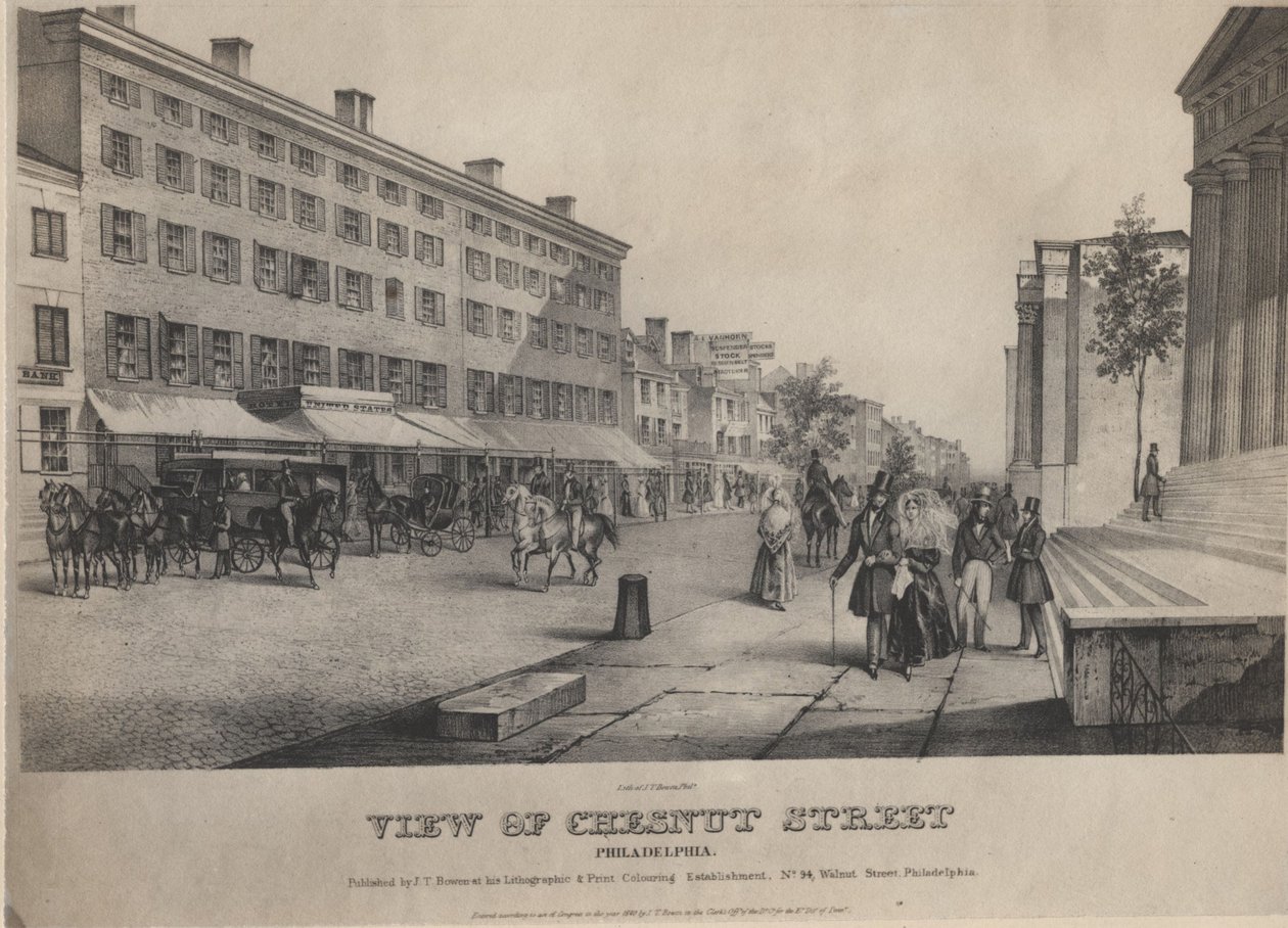 Chestnut Caddesi
