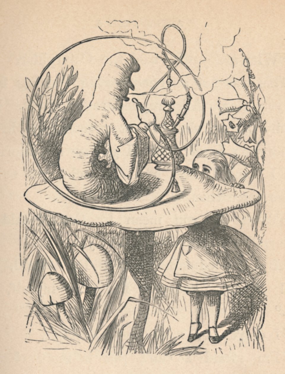 Alice ve tırtıl, 1889 by John Tenniel
