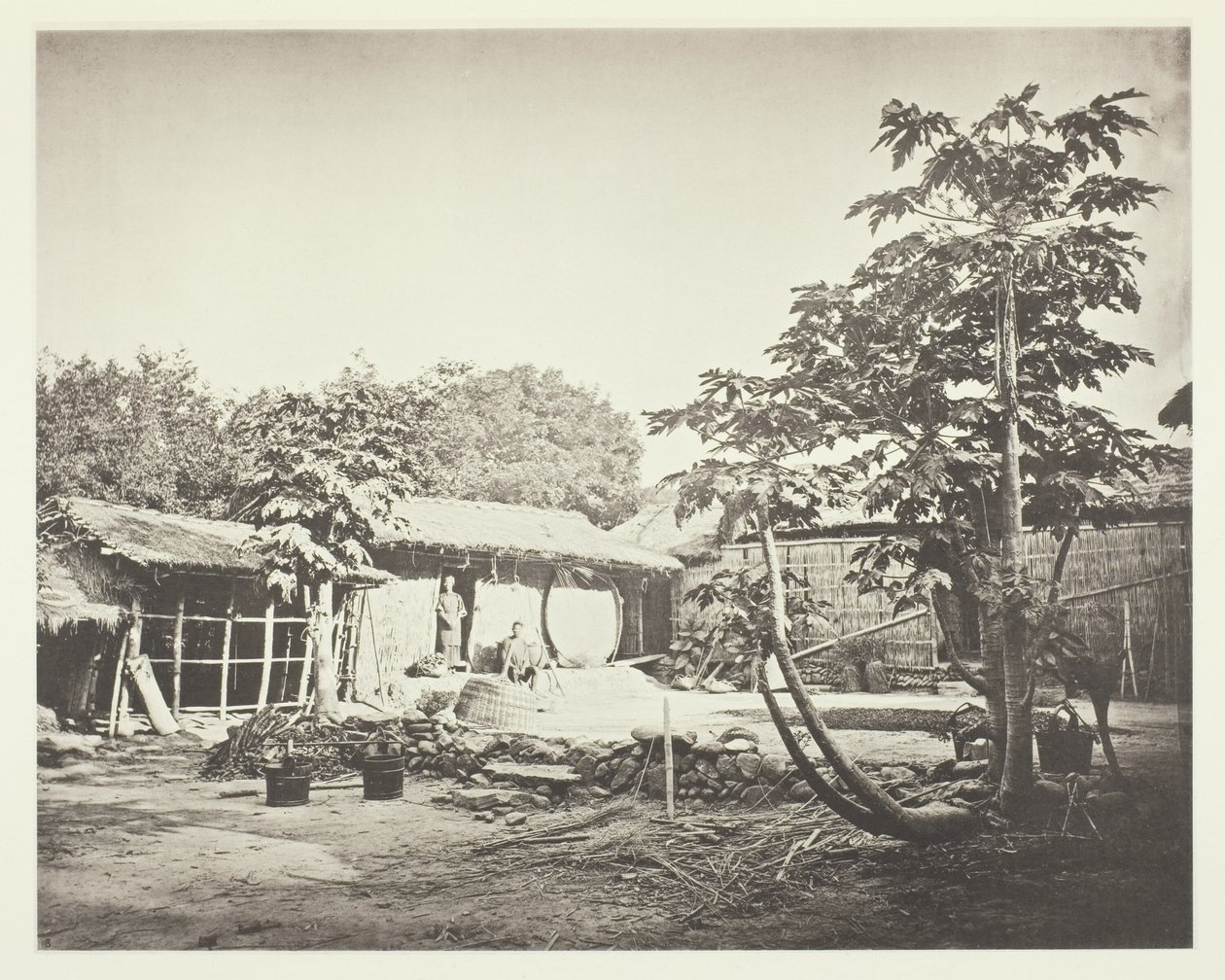  by John Thomson