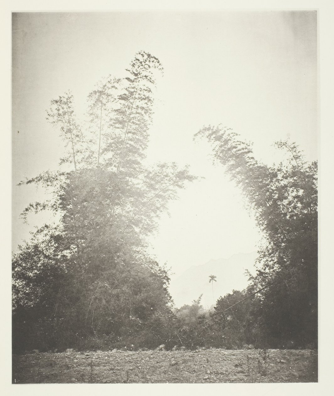 Baksa, Formosa'da bambular by John Thomson