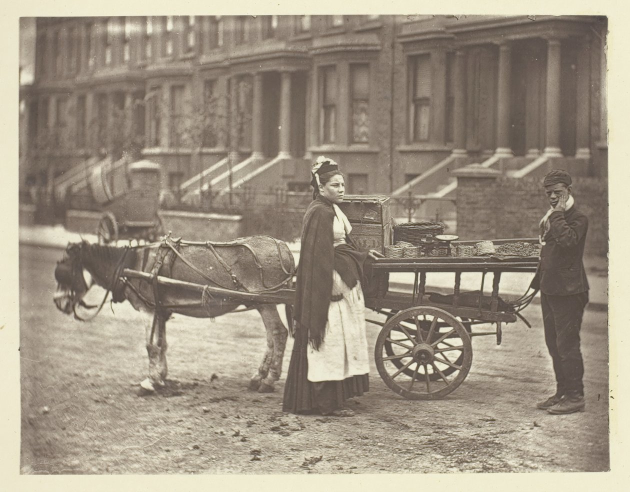Çilekler. Hepsi Olgun! Tüm Olgun!, 1881. by John Thomson