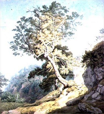 Canonteign, Devon yakın görünümü by John White Abbott