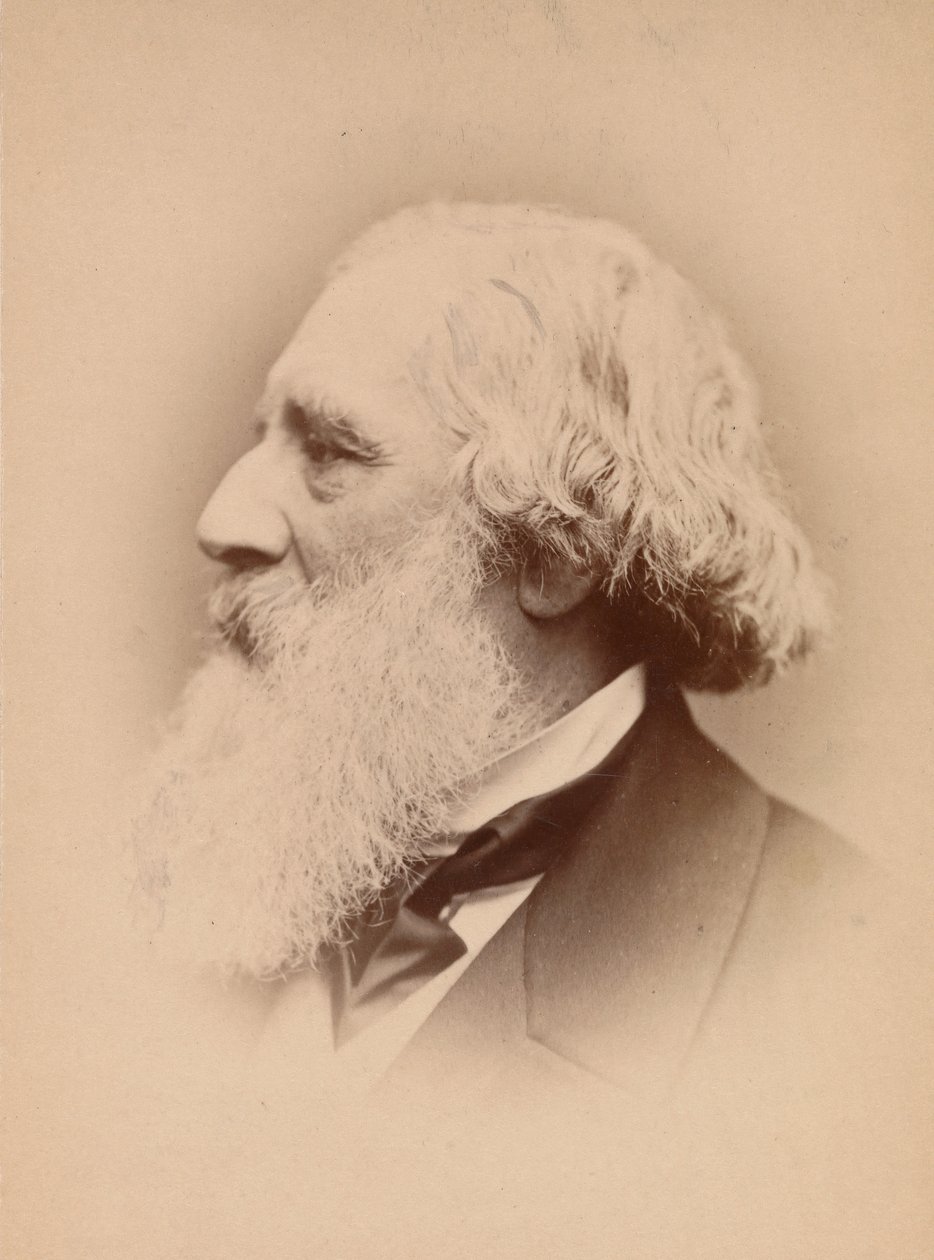 [John Frederick Lewis], 1860