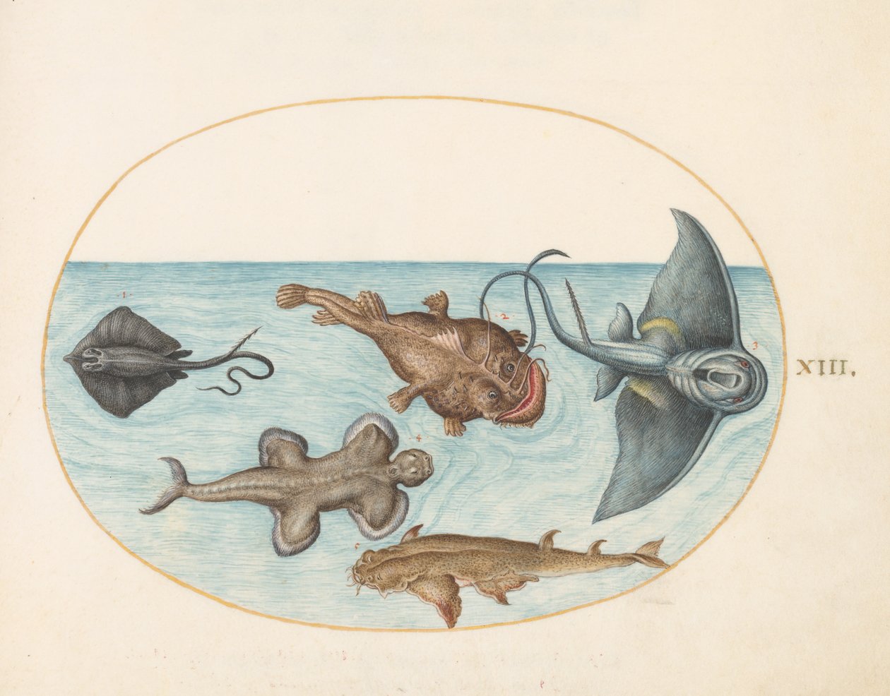 Balık, c.1575-80 by Joris Hoefnagel