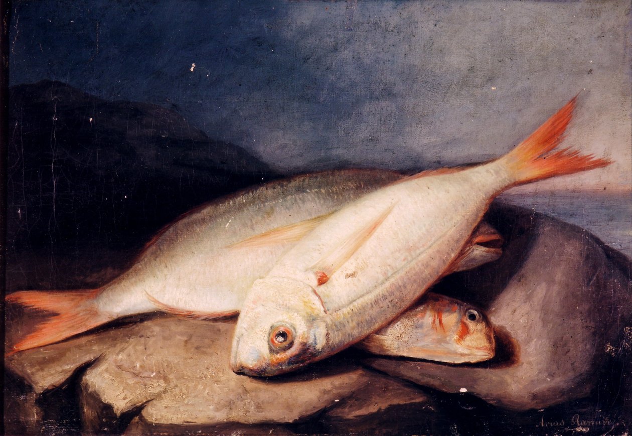  by José Arias Ramírez
