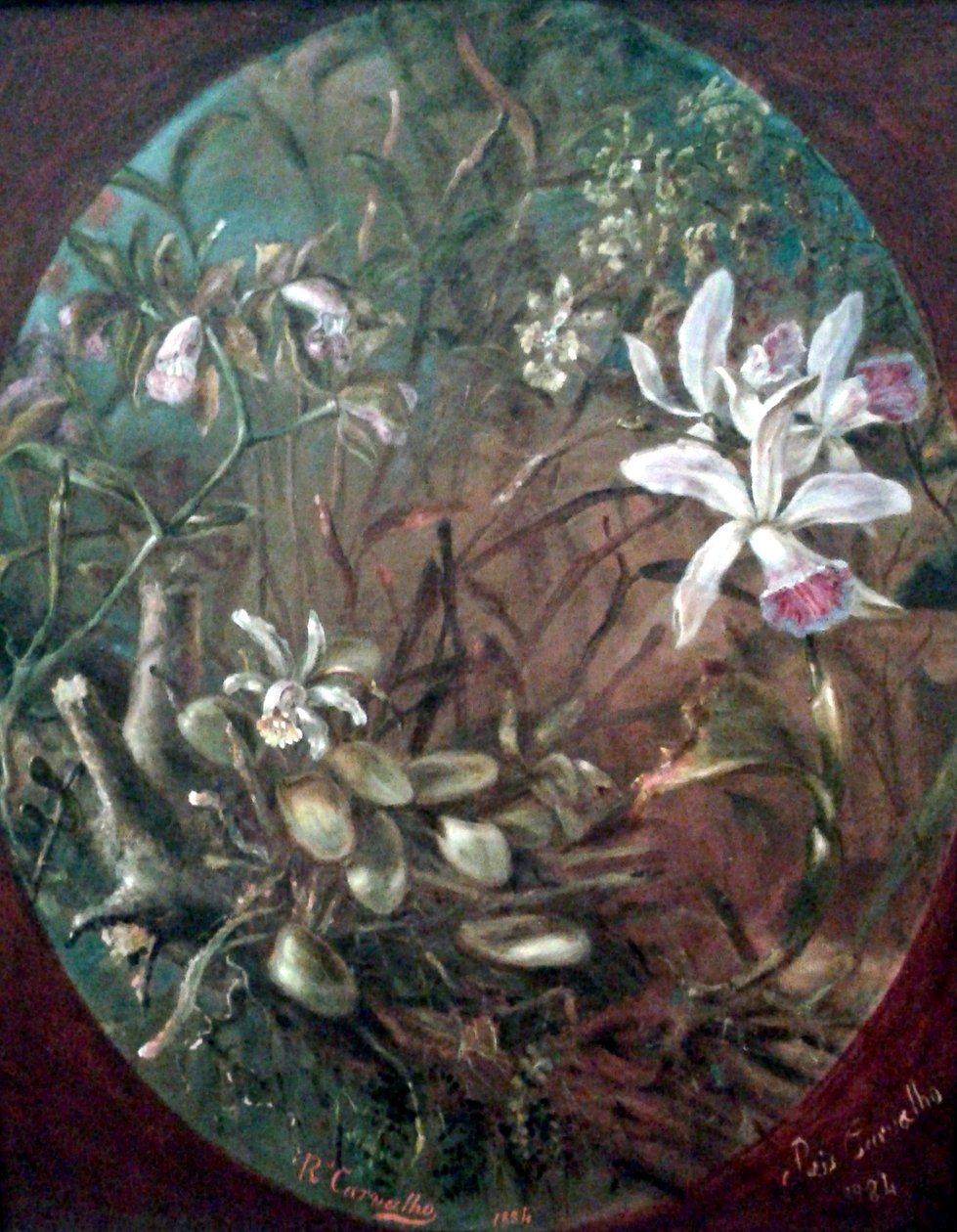 parazitler by Jose dos Reis Carvalho