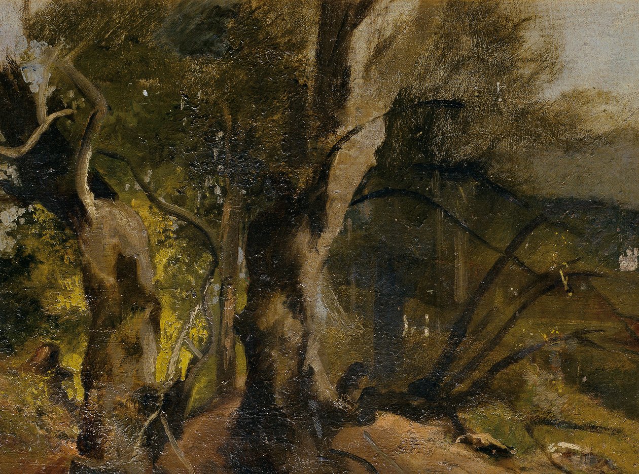 Waldstudie by Josef Navrátil