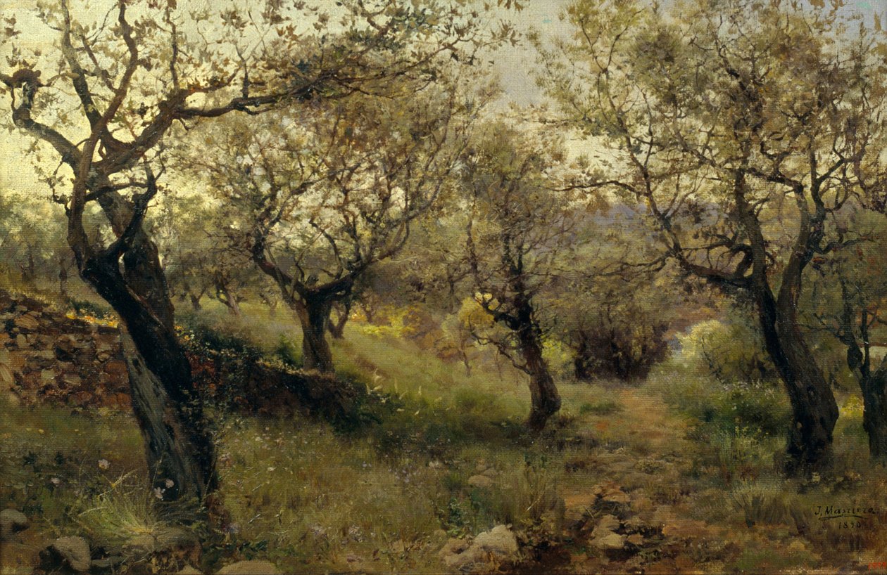 Llavaneres