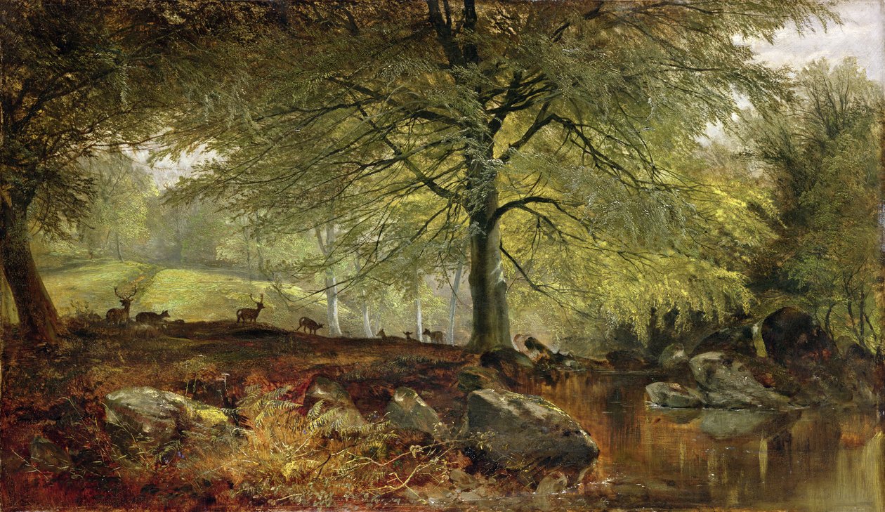 Ormanda Geyik by Joseph Denovan Adam