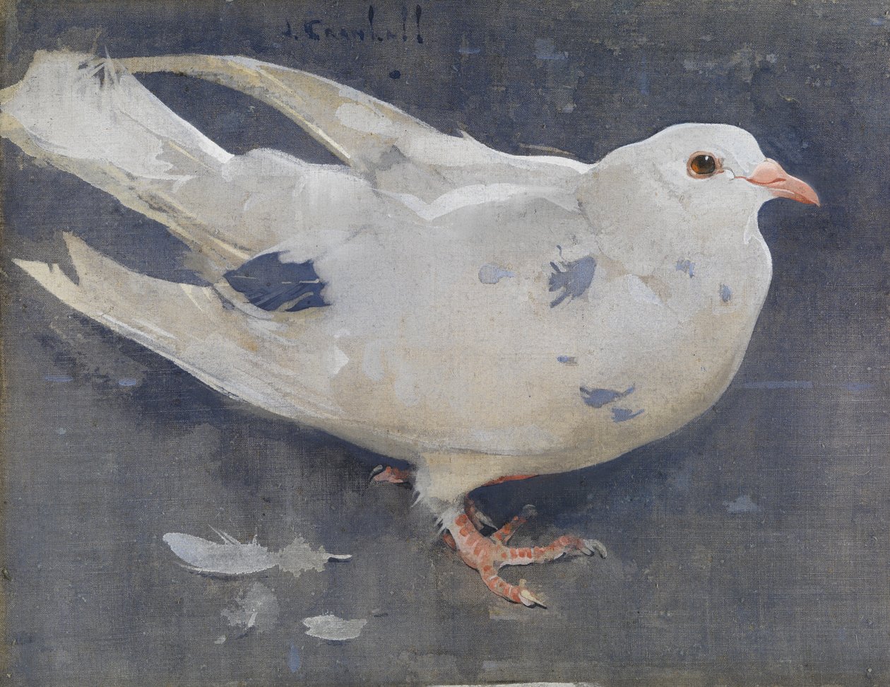 Güvercin (keten üzerine guaş) by Joseph Crawhall