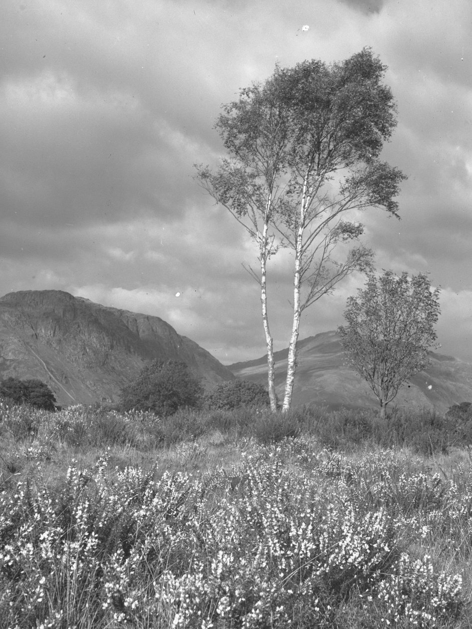  by Joseph Hardman
