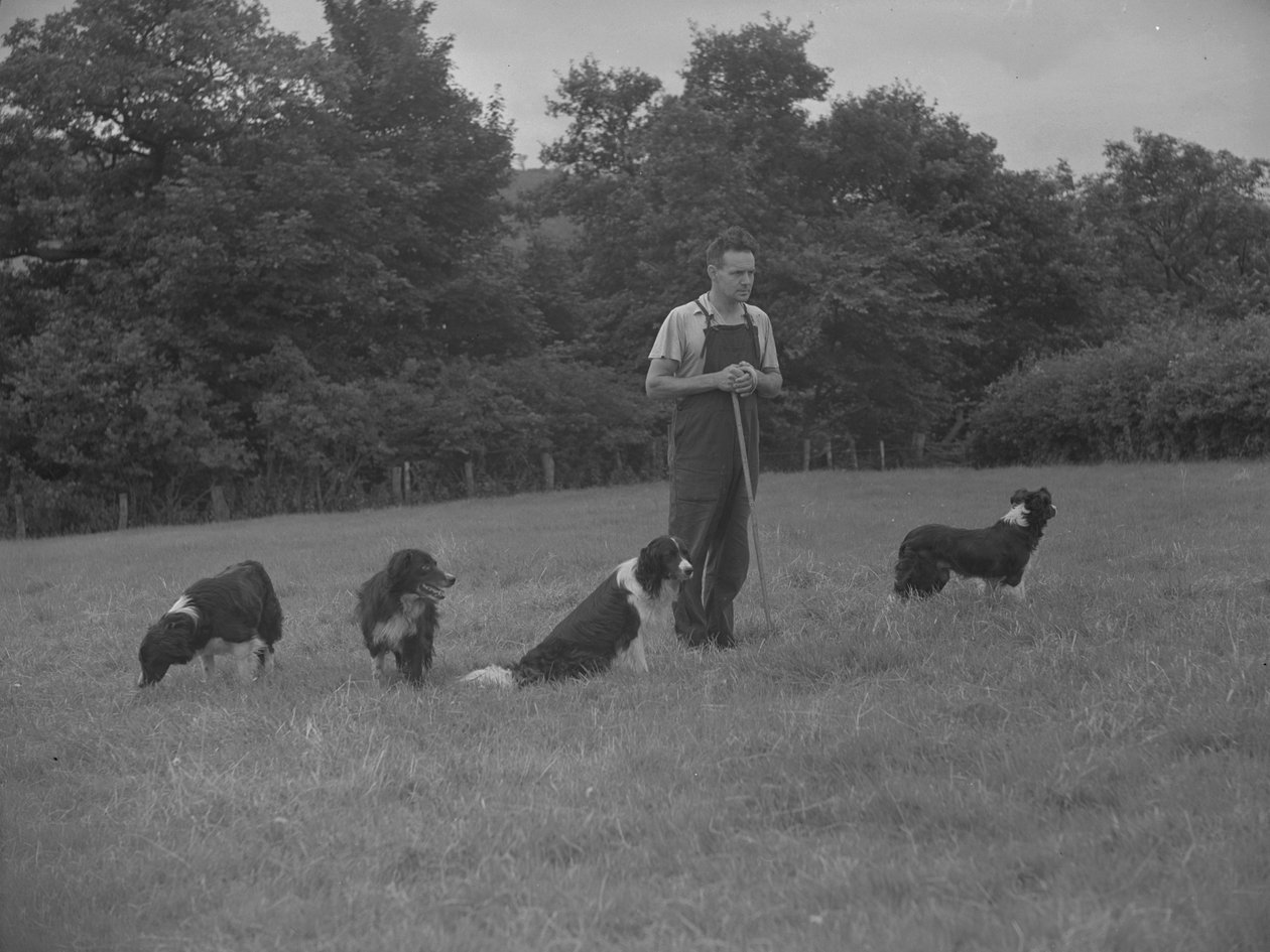  by Joseph Hardman
