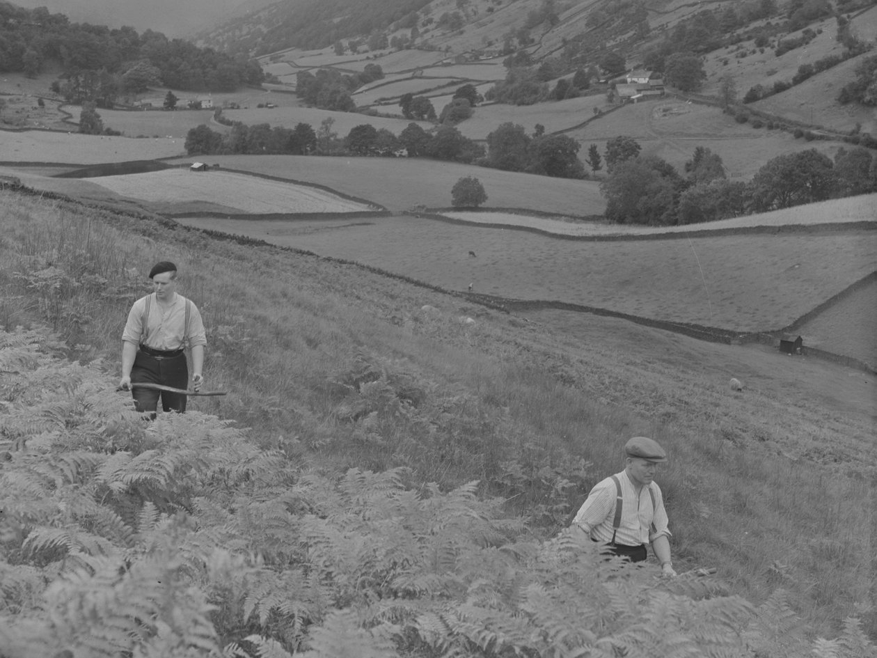  by Joseph Hardman