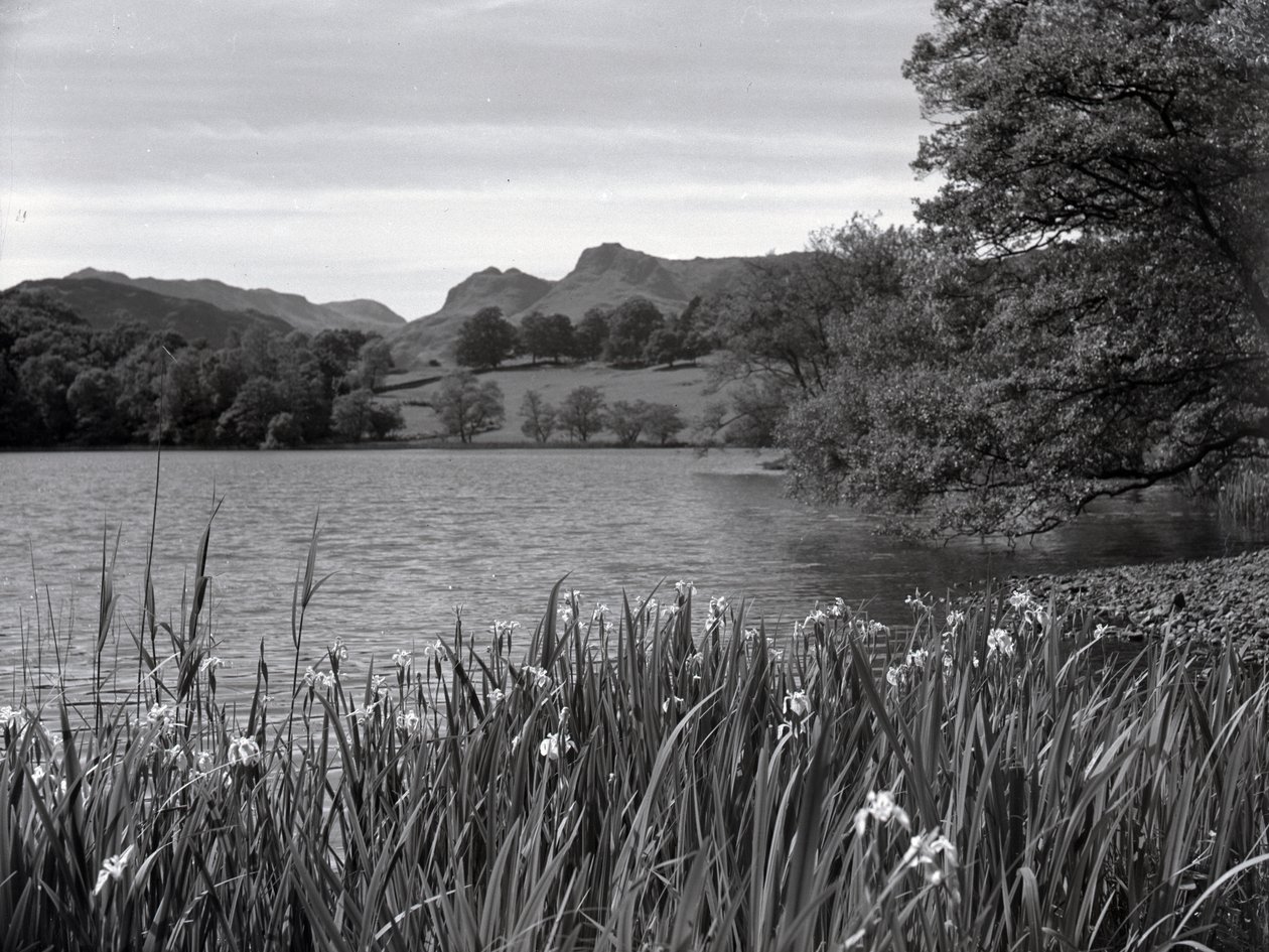  by Joseph Hardman