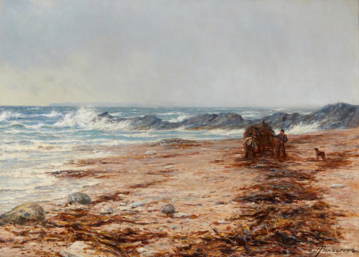 Kelp Toplama (tuval üzerine yağlı boya) by Joseph Henderson