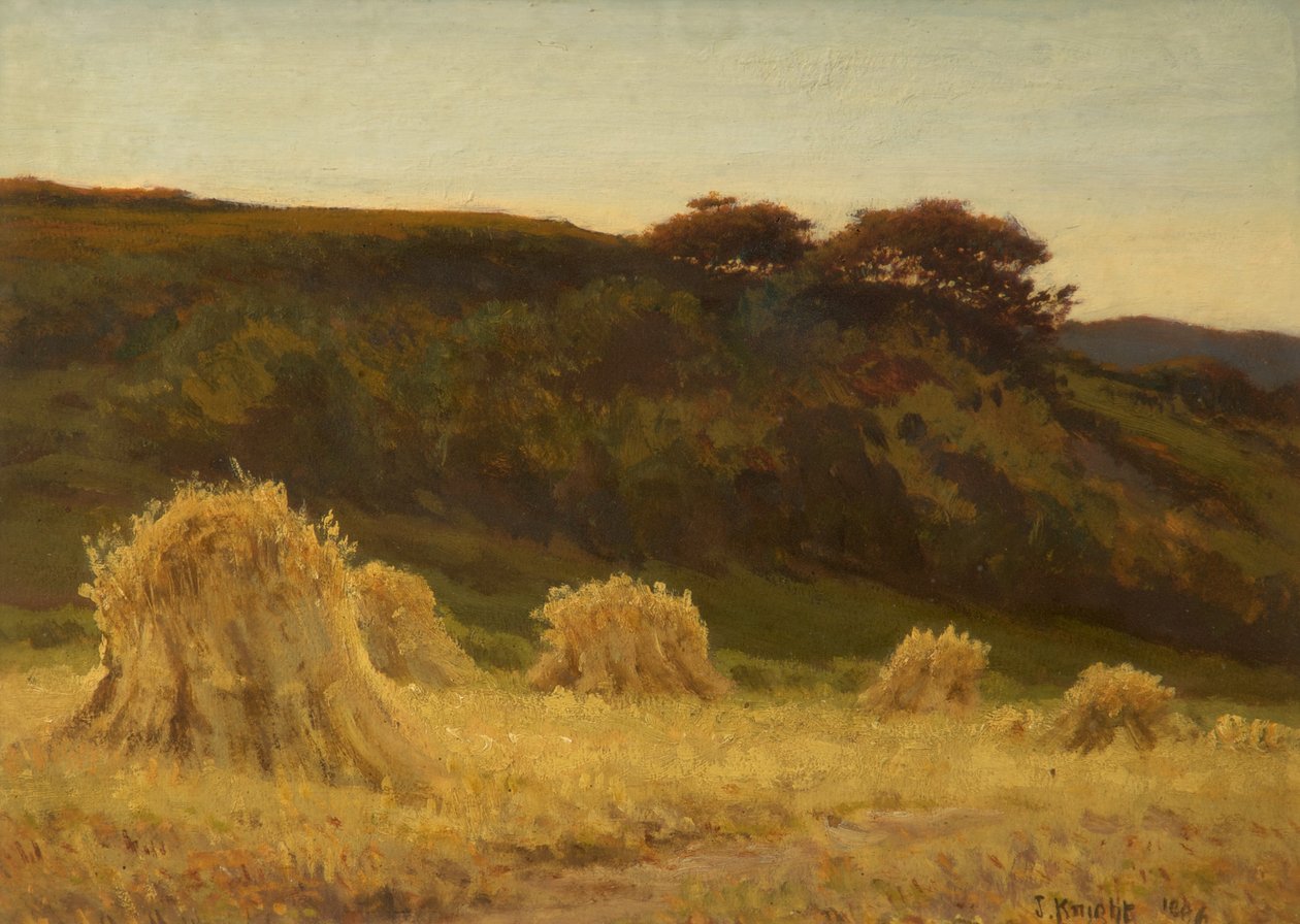 mısır tarlası by Joseph Knight
