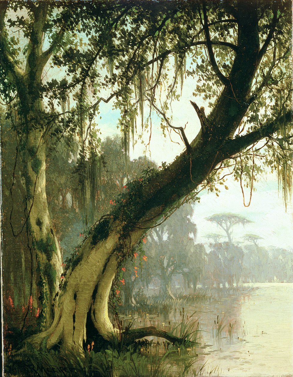 Bayou