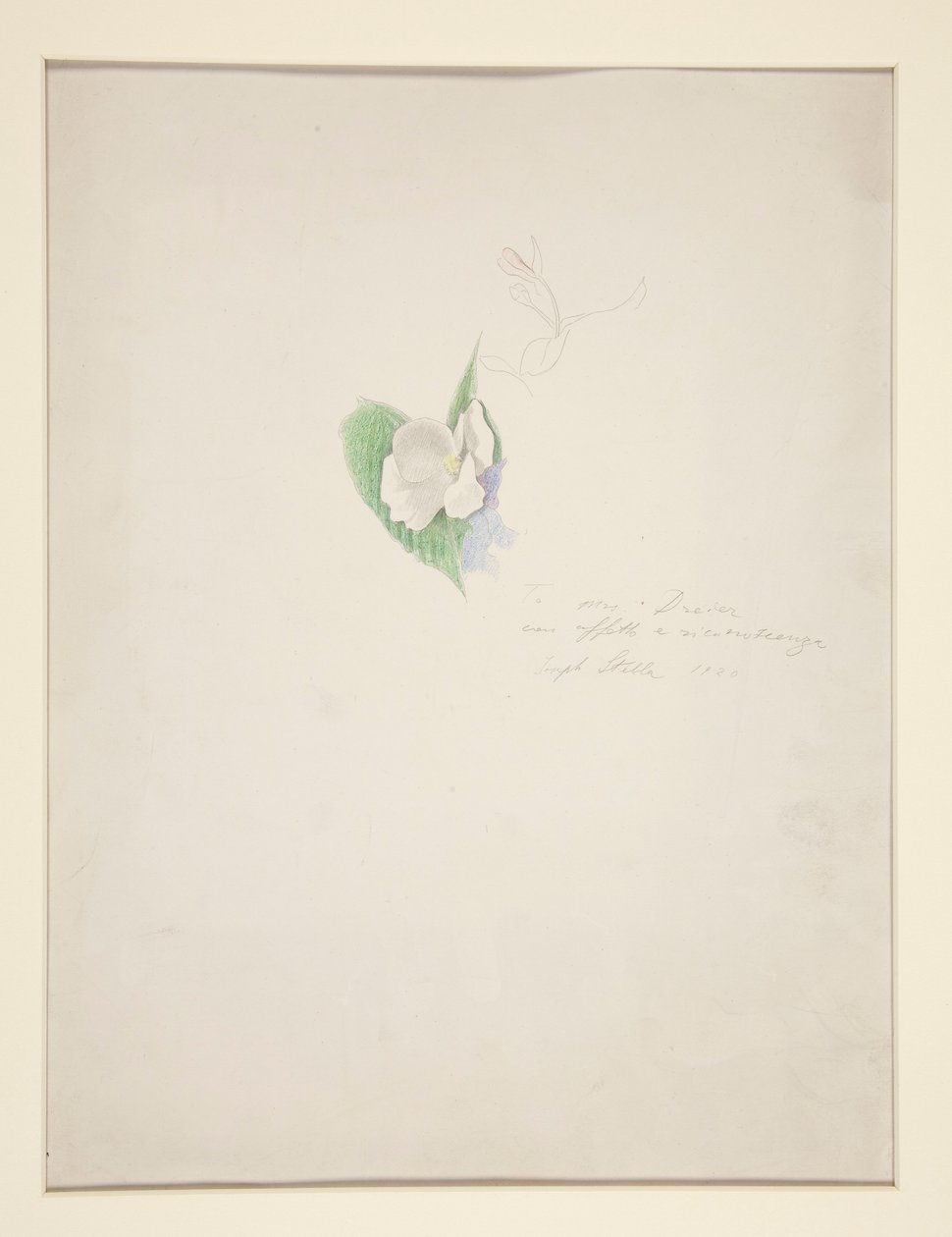Çiçek by Joseph Stella