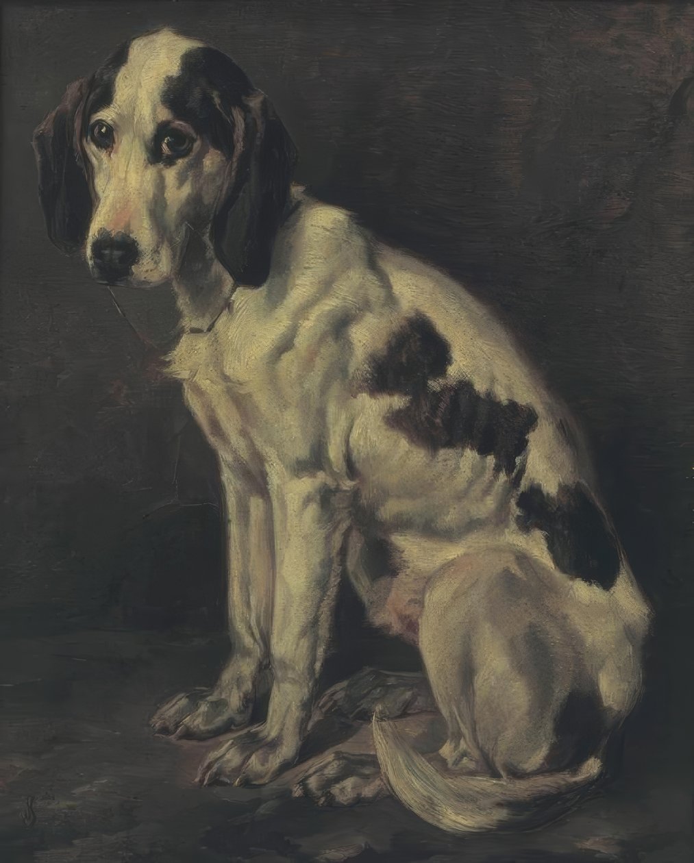 eski yarışmacı by Joseph Stevens