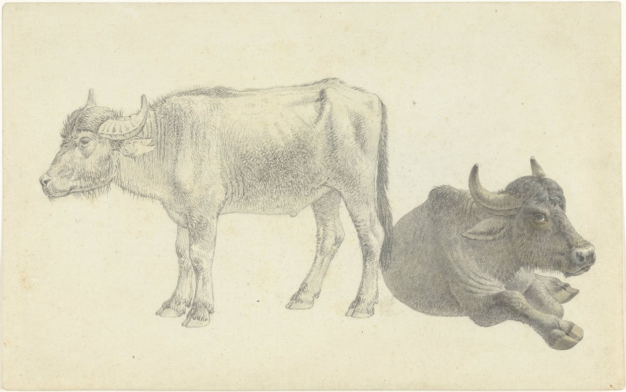Yalan ve ayakta inek by Josephus Augustus Knip