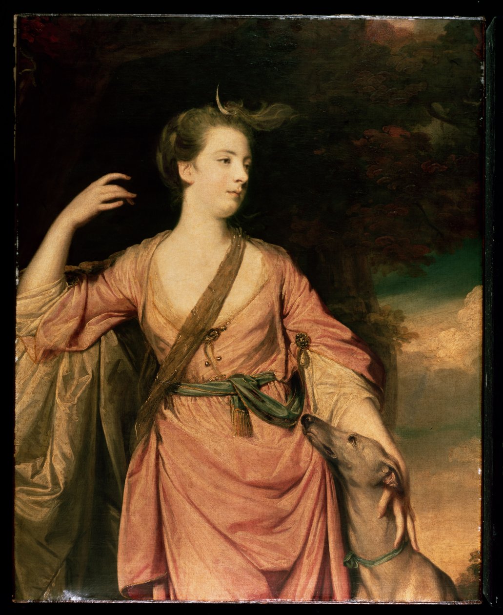 Leydi Dawson c.1763 by Joshua Reynolds
