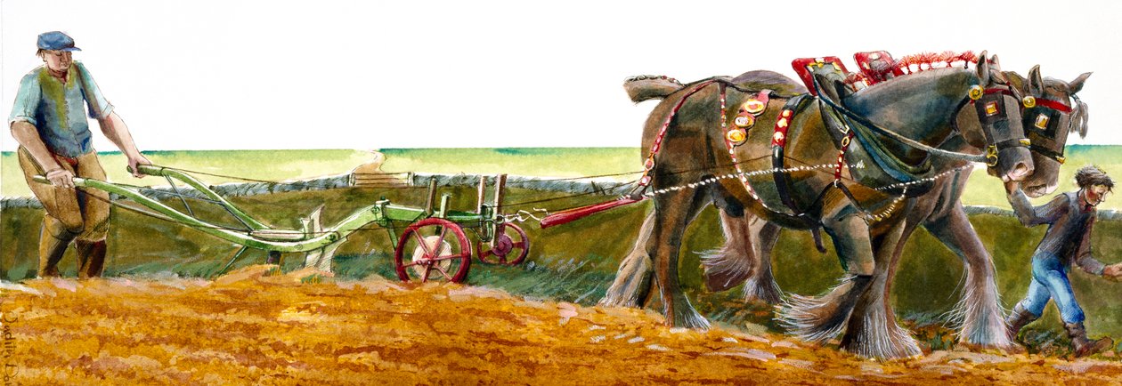 Çiftçilik, c1830-1900, c1990-2010 by Judith Dobie