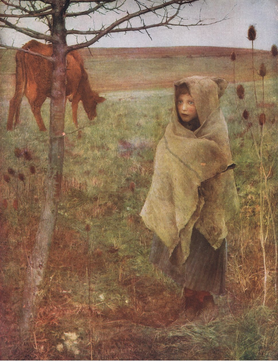 Zavallı Warbler, Bibbys Yıllık, 1916-1917 by Jules after Bastien Lepage