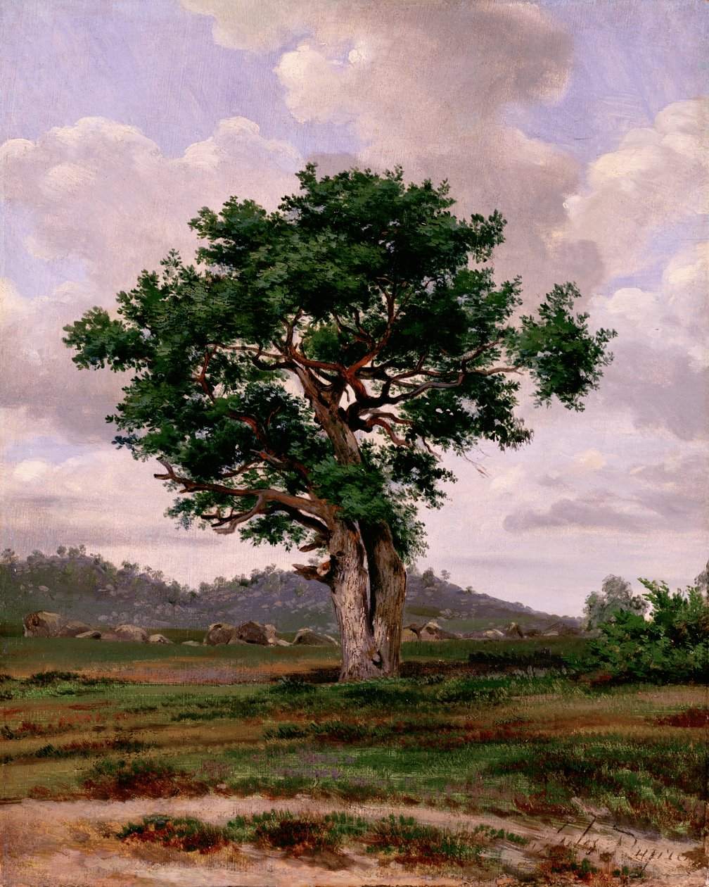Rager (sıcak huylu) by Jules Dupré
