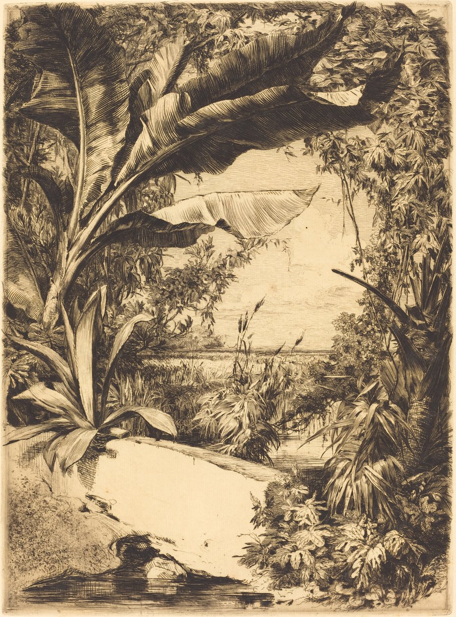 sera bitkileri by Jules Ferdinand Jacquemart