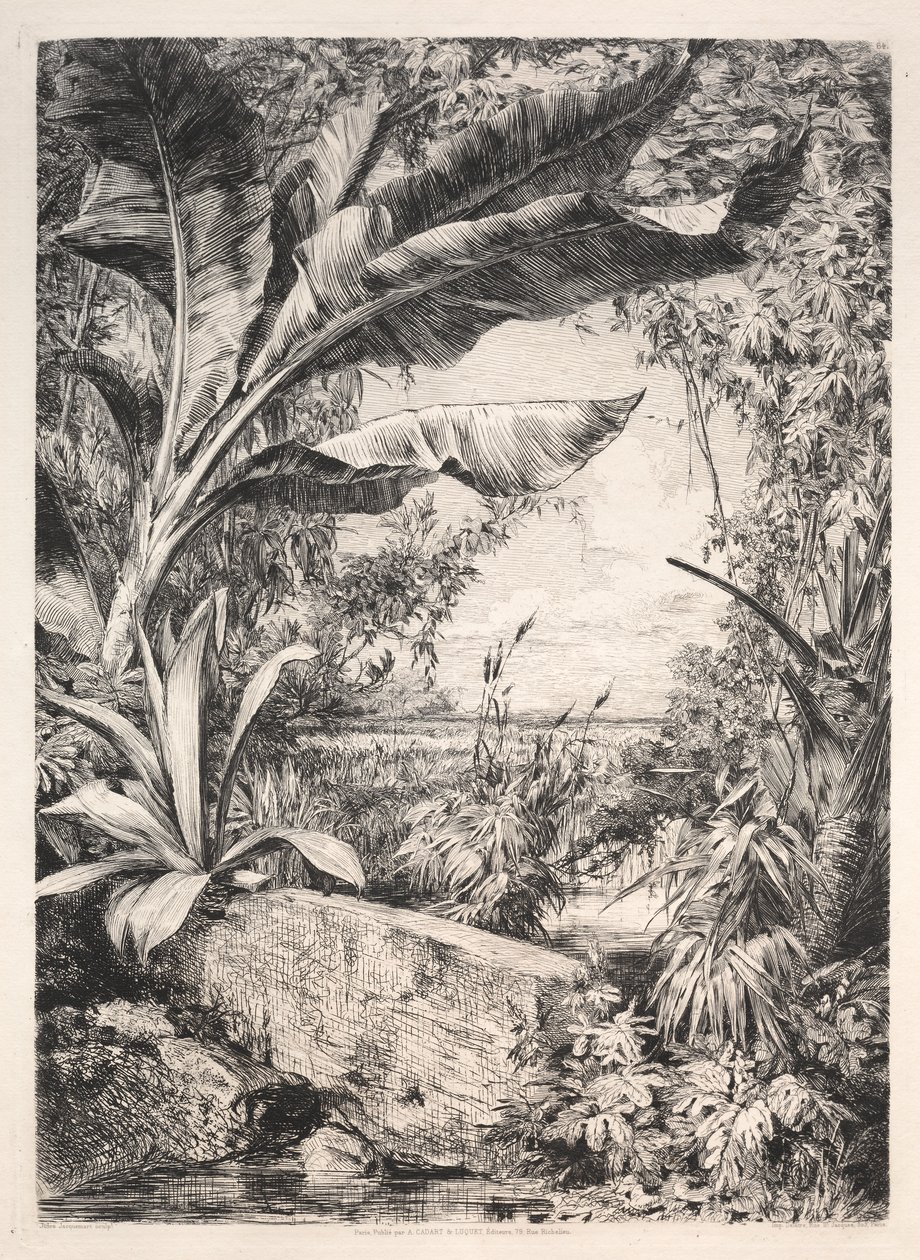 Sera Bitkileri, 1872. by Jules Ferdinand Jacquemart
