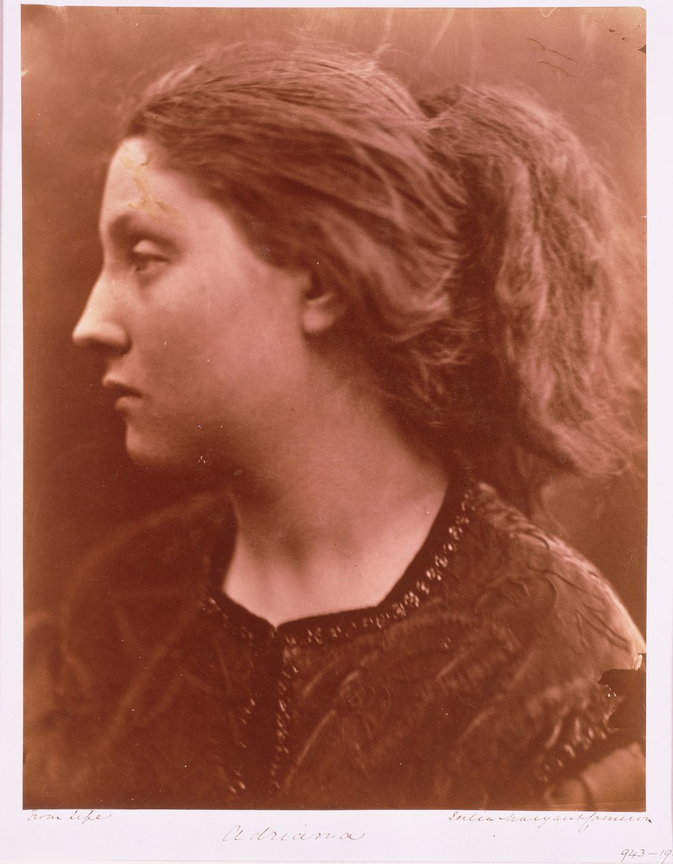 Adriana by Julia Margaret Cameron