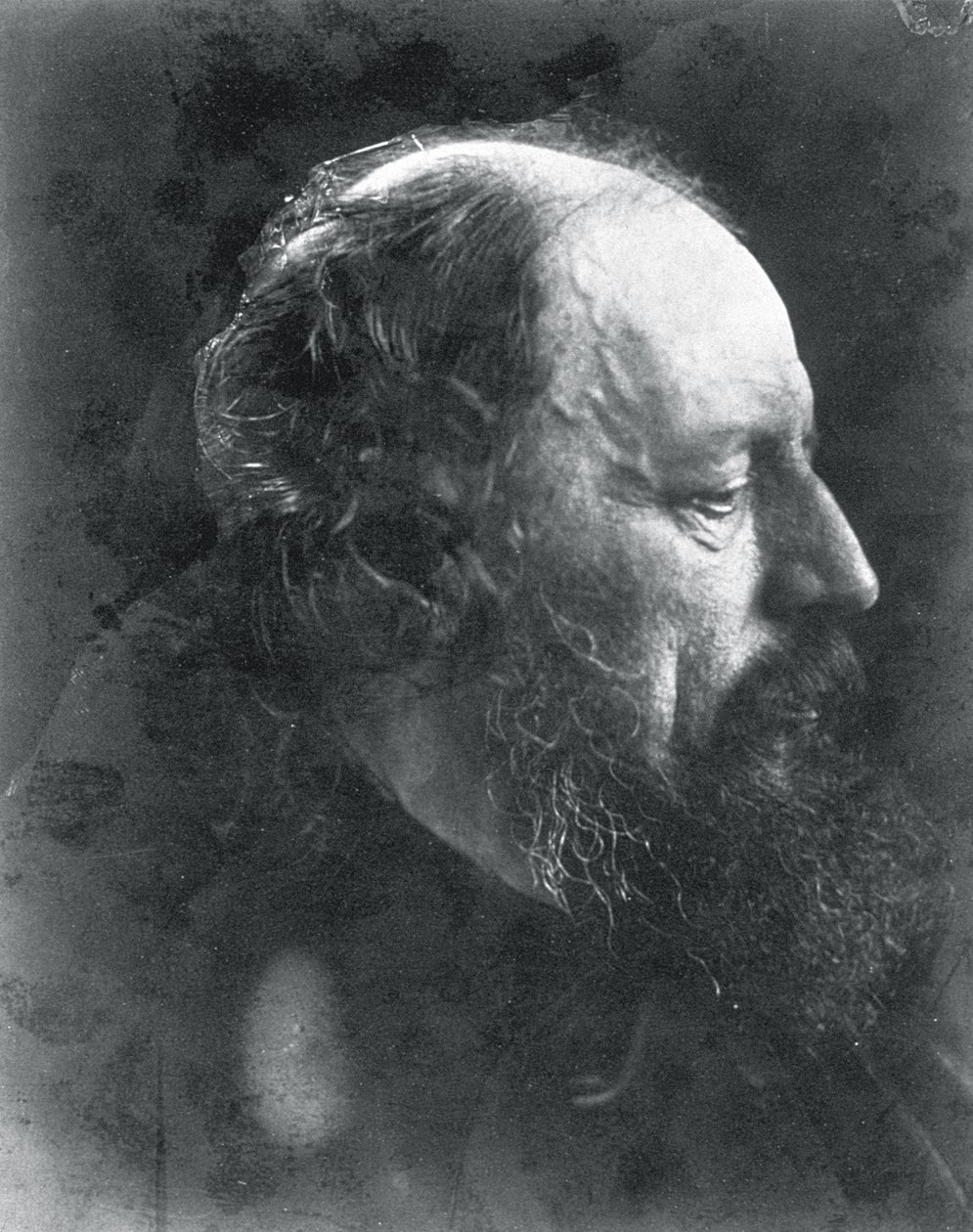Alfred, Lord Tennyson, 1868 dolayları (albüm baskısı) by Julia Margaret Cameron