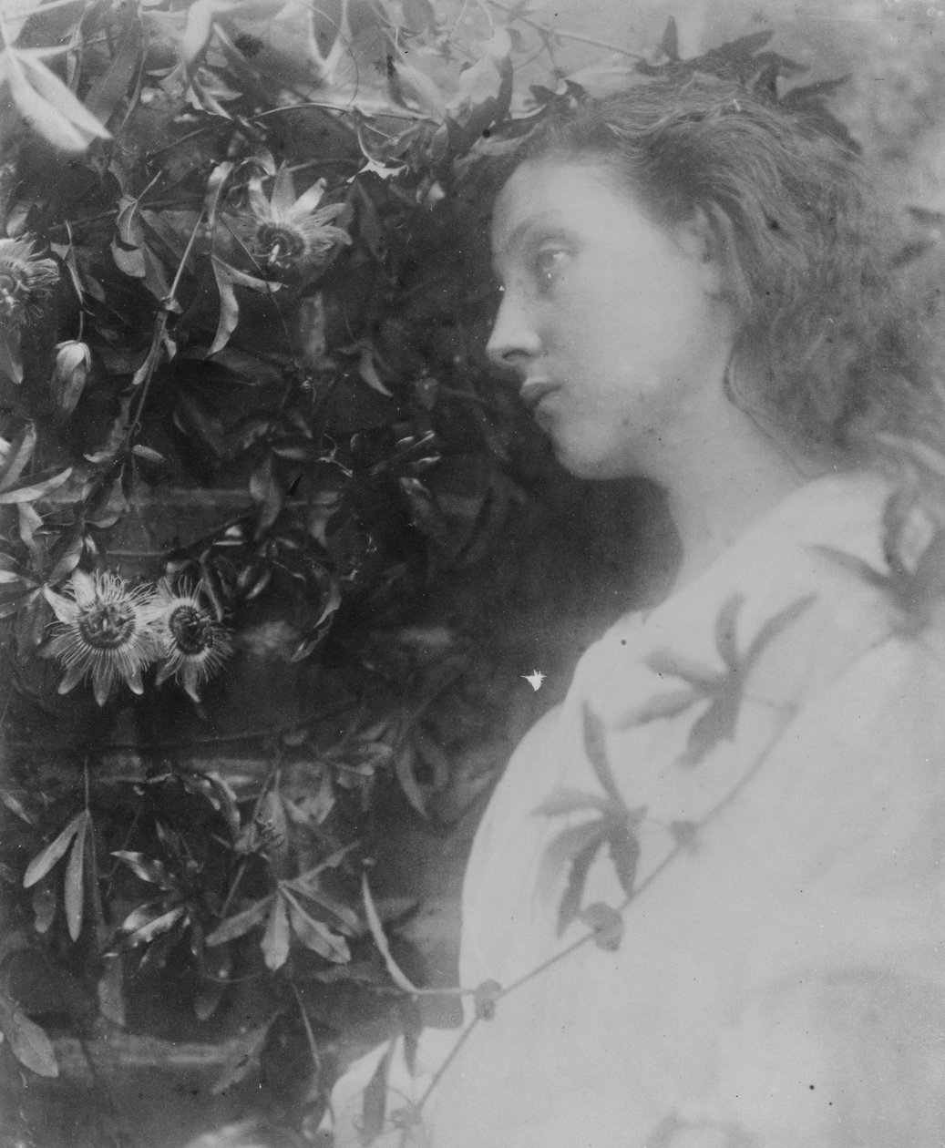 Alfred, Lord Tennyson, 1865