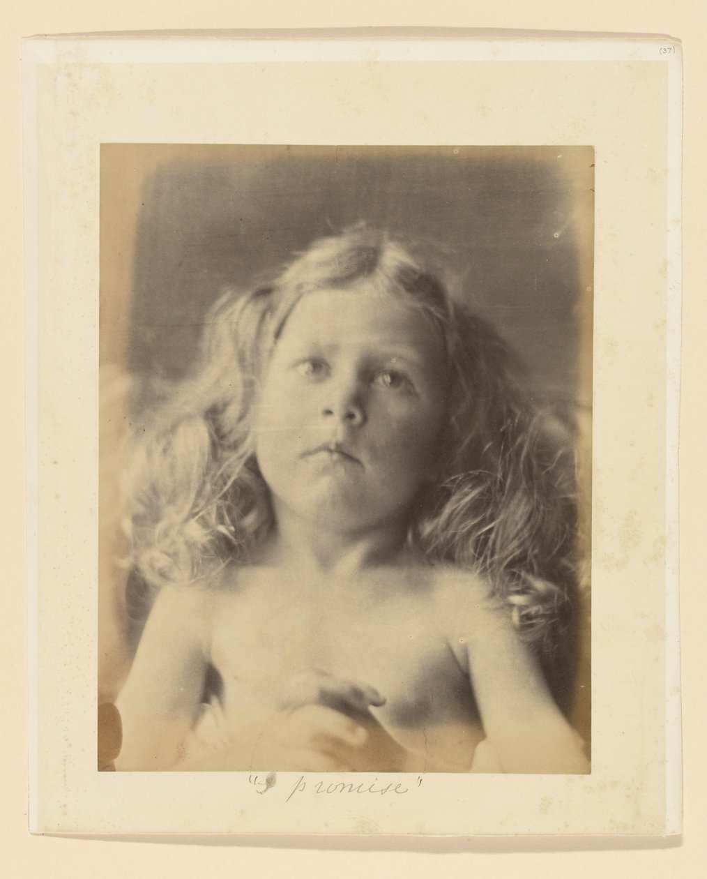  by Julia Margaret Cameron