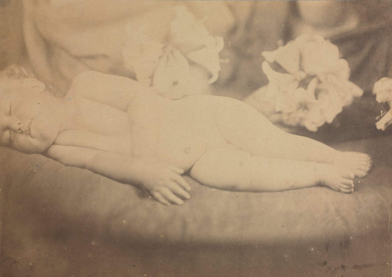 Zambak ve Kuzu by Julia Margaret Cameron