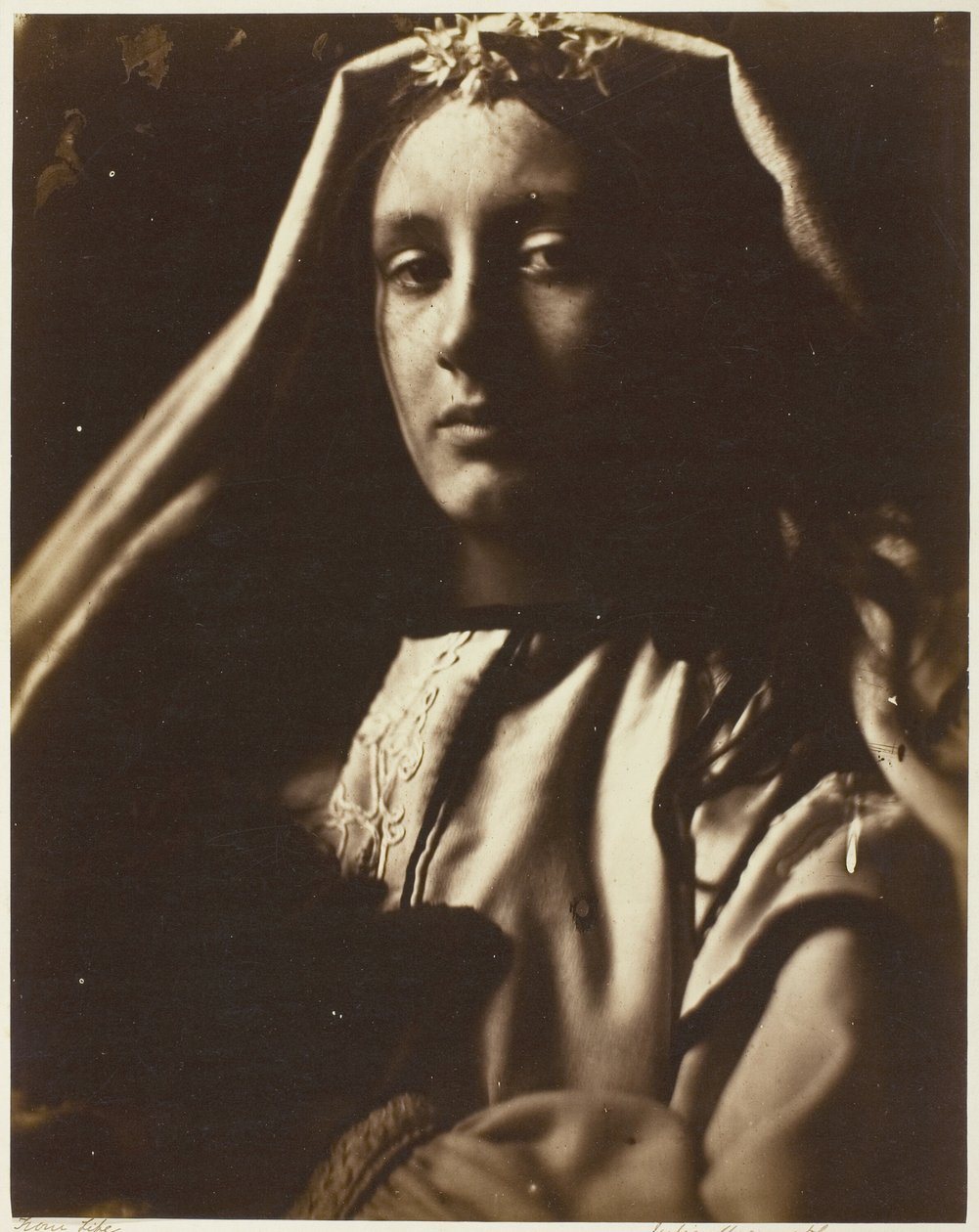 neopolitan by Julia Margaret Cameron