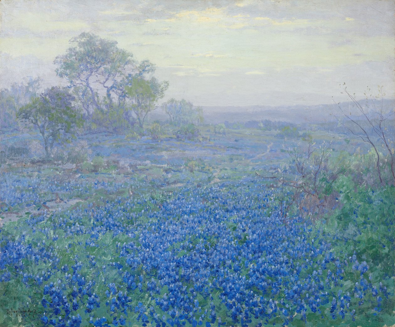 Bulutlu Bir Gün, San Antonio, Teksas yakınlarındaki Bluebonnets by Julian Onderdonk