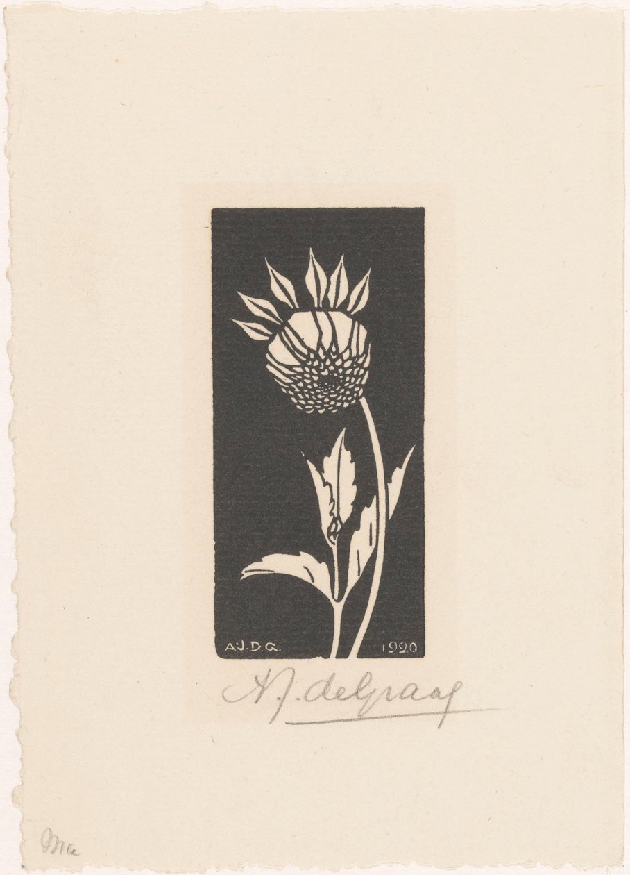 yıldız çiçeği by Julie de Graag (signed by artist)