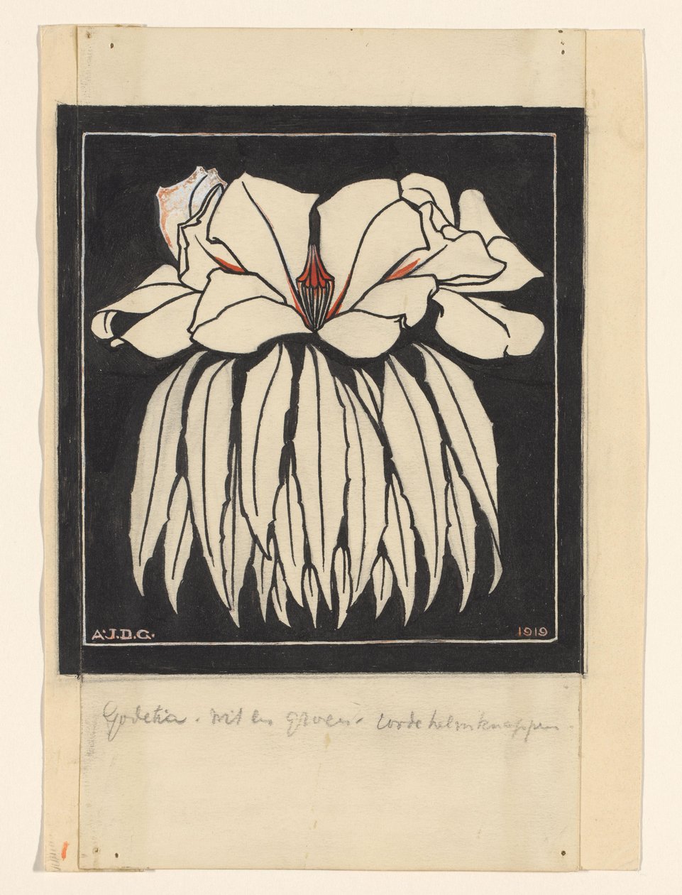 Godetia by Julie de Graag (signed by artist)